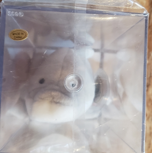AUTHENTIC and MINT Flash Beanie Baby. Certificate of Authenticity and Acrylic ca - Picture 10 of 11